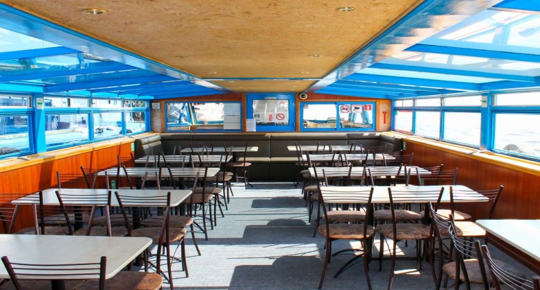 Однопалубный теплоход до 80 мест